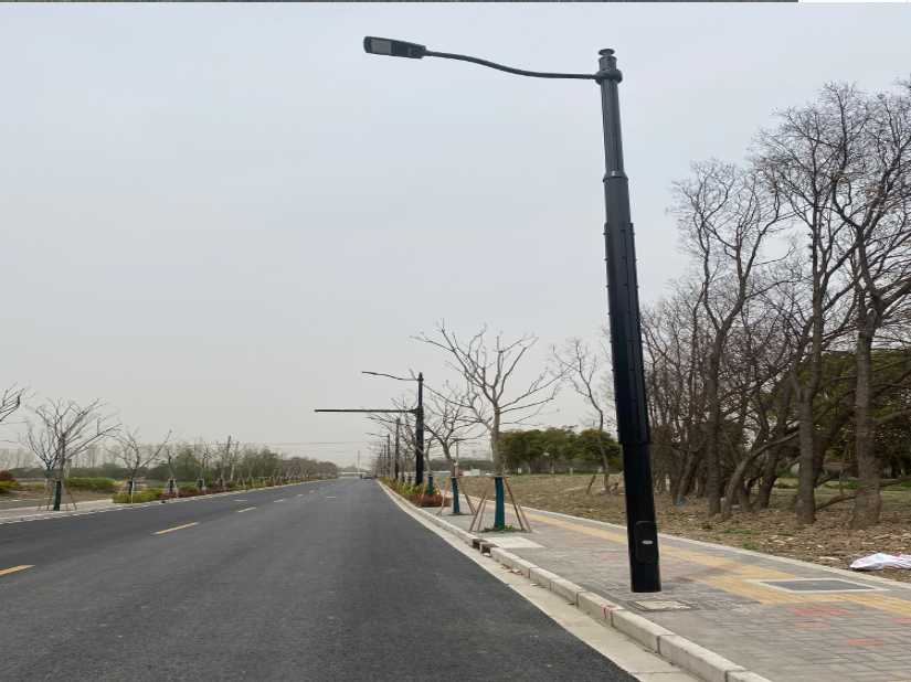 渭城区上海综合杆 太阳能路灯工程